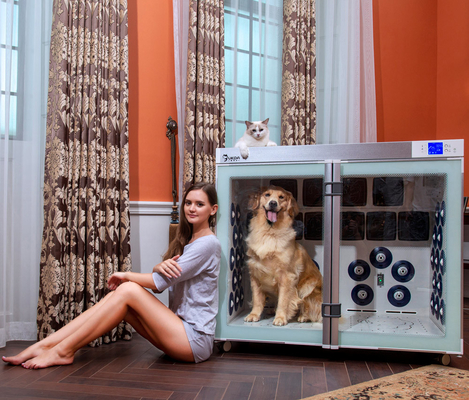 220V 2500Wペット犬の手入れをすることのために低雑音より乾燥したおり6の送風機