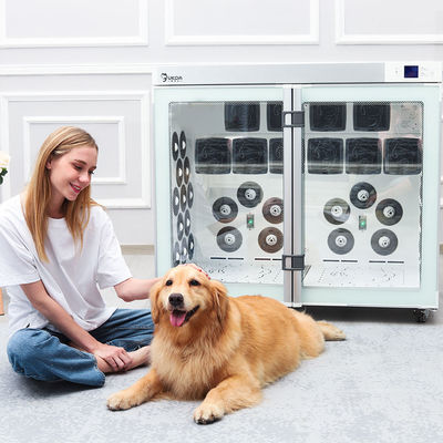 2700Wペット犬のヘアドライヤーボックスブラシリムーバースリッカーグルーミングリント