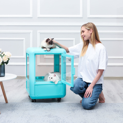 30kgを吹く自動時機を得たペット ドライヤー部屋犬の否定的なイオン